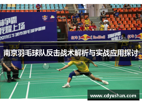 南京羽毛球队反击战术解析与实战应用探讨