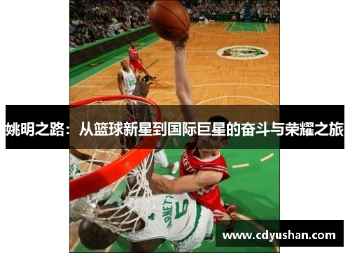 姚明之路：从篮球新星到国际巨星的奋斗与荣耀之旅