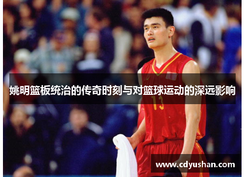 姚明篮板统治的传奇时刻与对篮球运动的深远影响