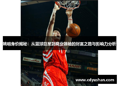 姚明身价揭秘：从篮球巨星到商业领袖的财富之路与影响力分析