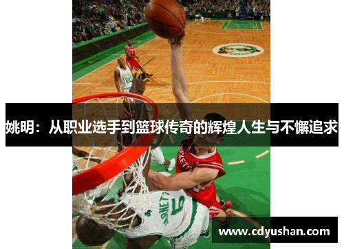 姚明：从职业选手到篮球传奇的辉煌人生与不懈追求
