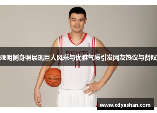 姚明侧身照展现巨人风采与优雅气质引发网友热议与赞叹