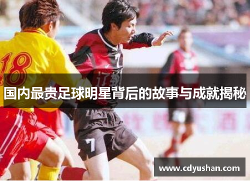 国内最贵足球明星背后的故事与成就揭秘